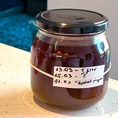 Zimową porą zbieraj owoce dzikiej róży i korzystaj z zawartej w niej witaminy C!